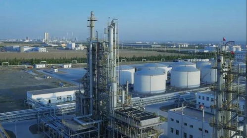 砥礪奮進五年間 奎屯—獨山子經濟技術開發區榮獲兩項國家級殊榮，技術轉讓成果顯著