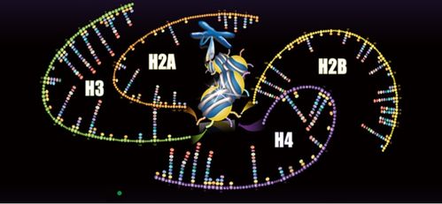 聚焦蛋白質組學技術開發與應用，景杰生物完成5.3億元B輪融資以加速技術推廣
